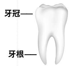 門牙斷掉面相